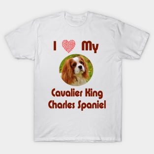 I Love My Cavalier King Charles Spaniel T-Shirt